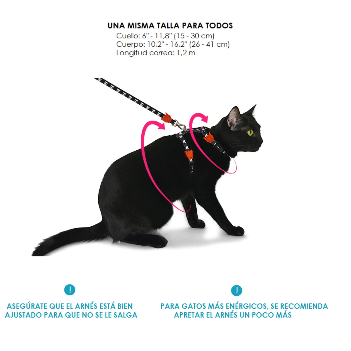 Arnés para Gatos Zee.Cat Prisma Set