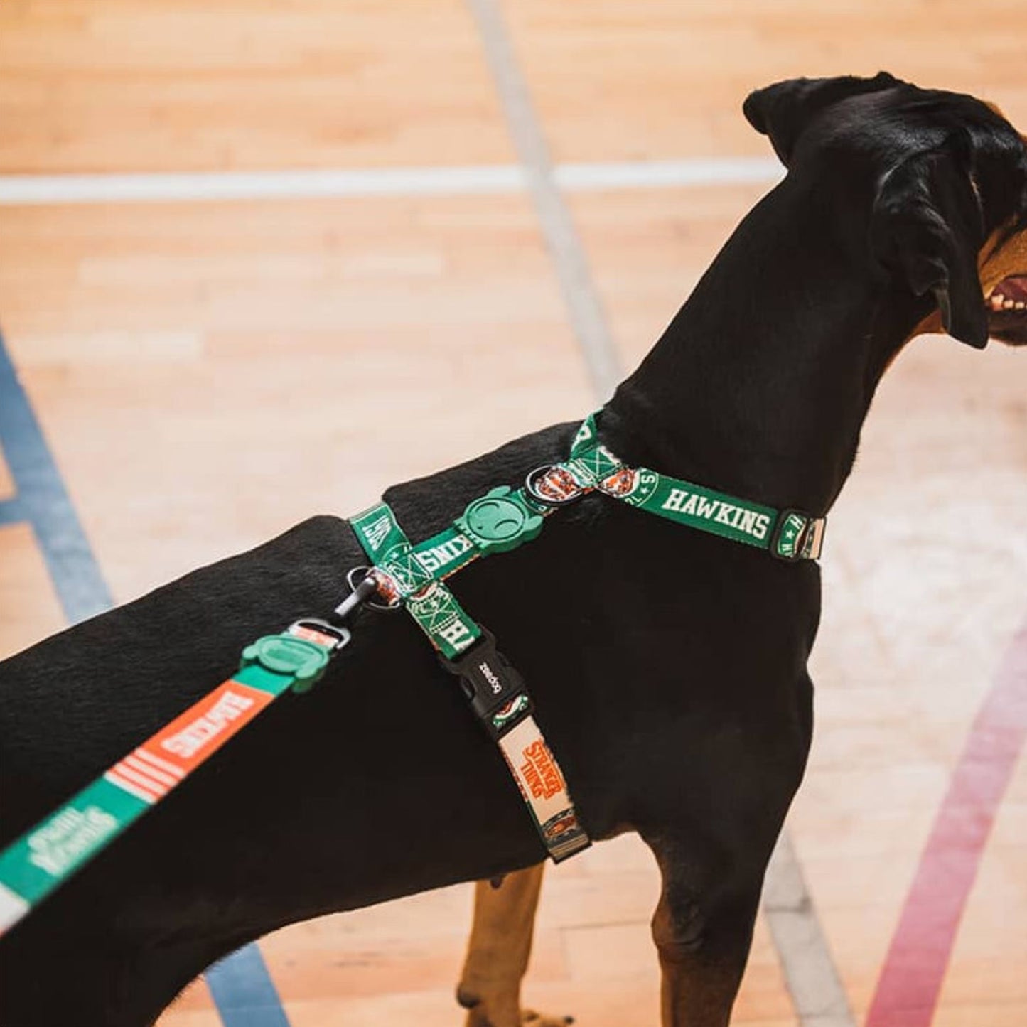 ZEEDOG Hawkins Stranger H-Harness