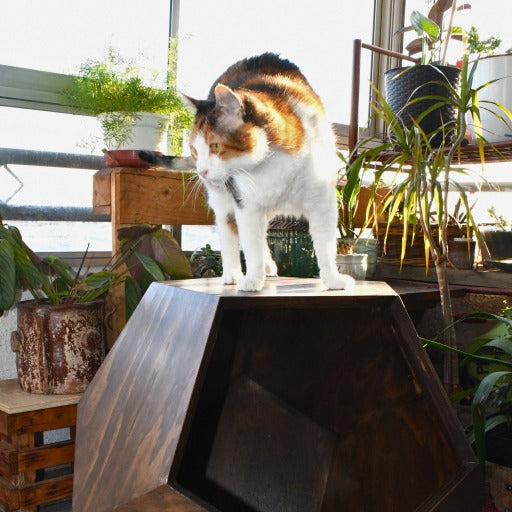 EcoRefugio de Madera - Mueble Poliedro - Casa de Gato