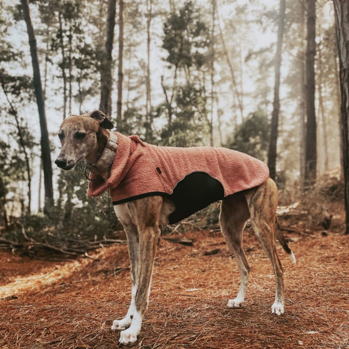 Chaqueta Onix Boucle Rosado