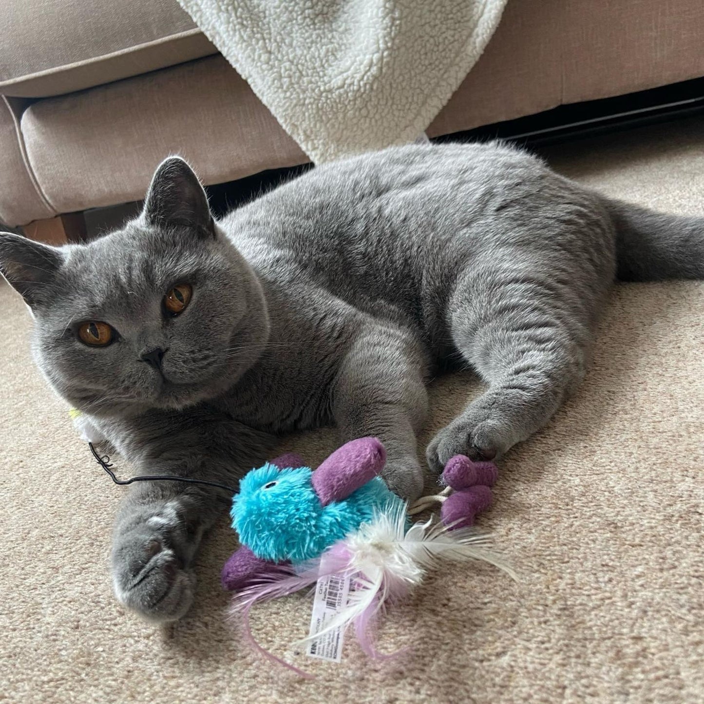 KONG Cat Feather Teaser