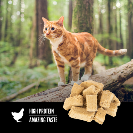Treats para gatos Orijen Six Fish