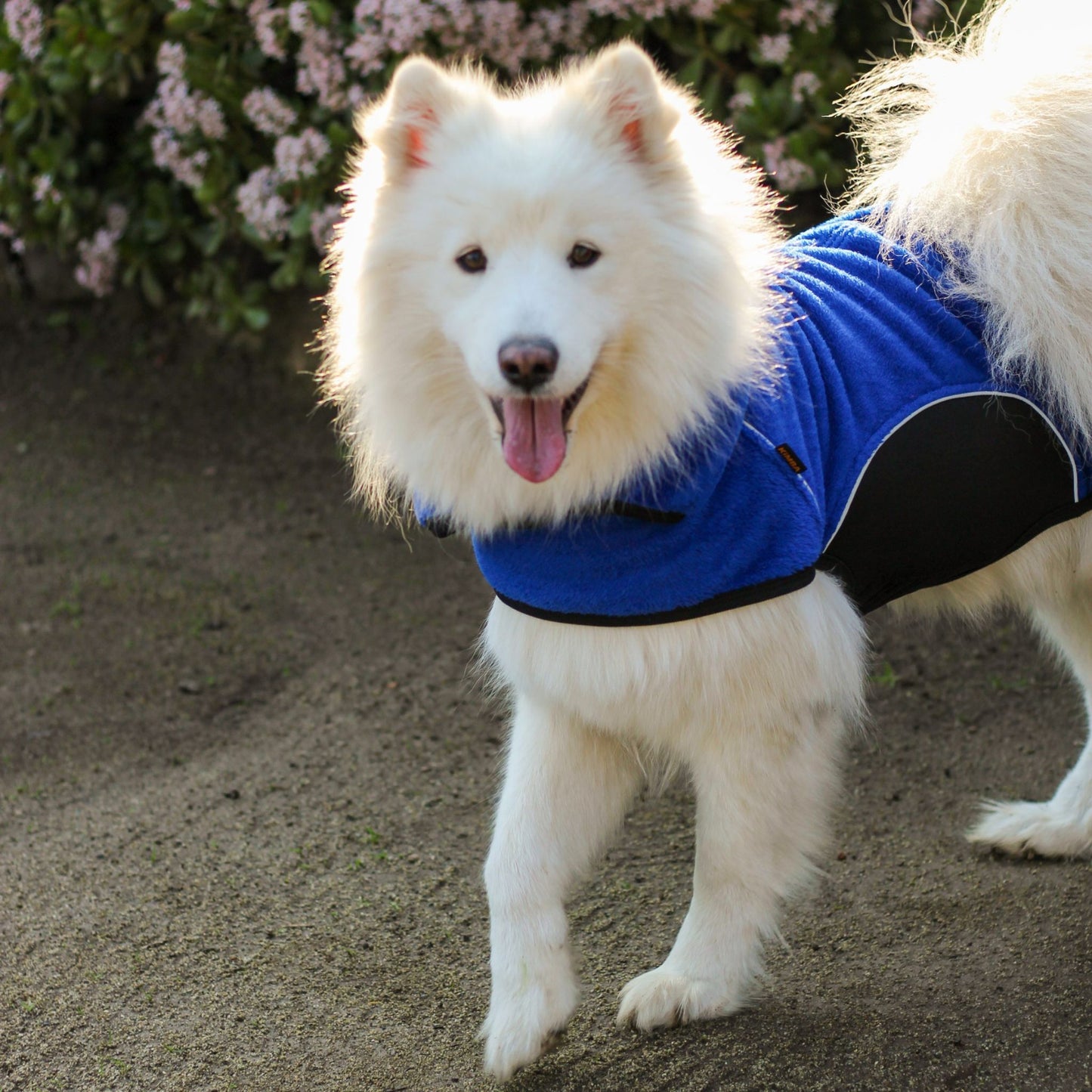 Chaqueta Onix Sherpa Azul