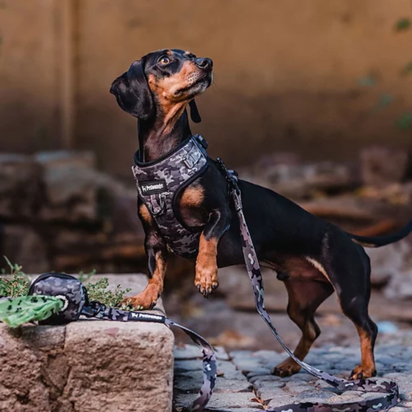 PetLounge Portabolsas Camuflaje