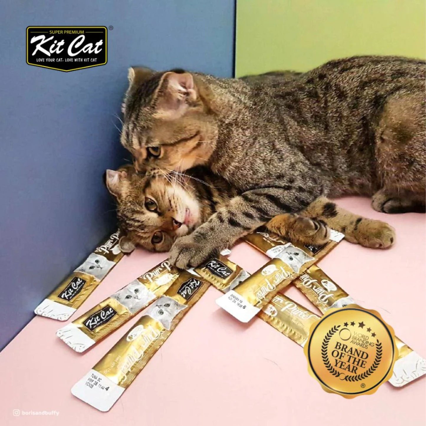 Kit Cat Purr Purée sabor Pollo y Fibra - Control Bola de Pelos 60gr