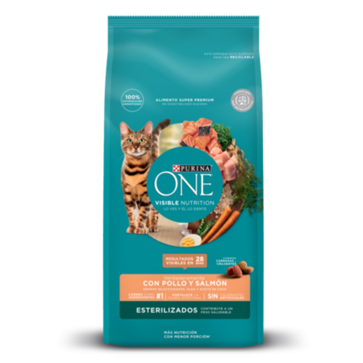 Purina ONE Esterilizado Pollo y Salmón 6 kg