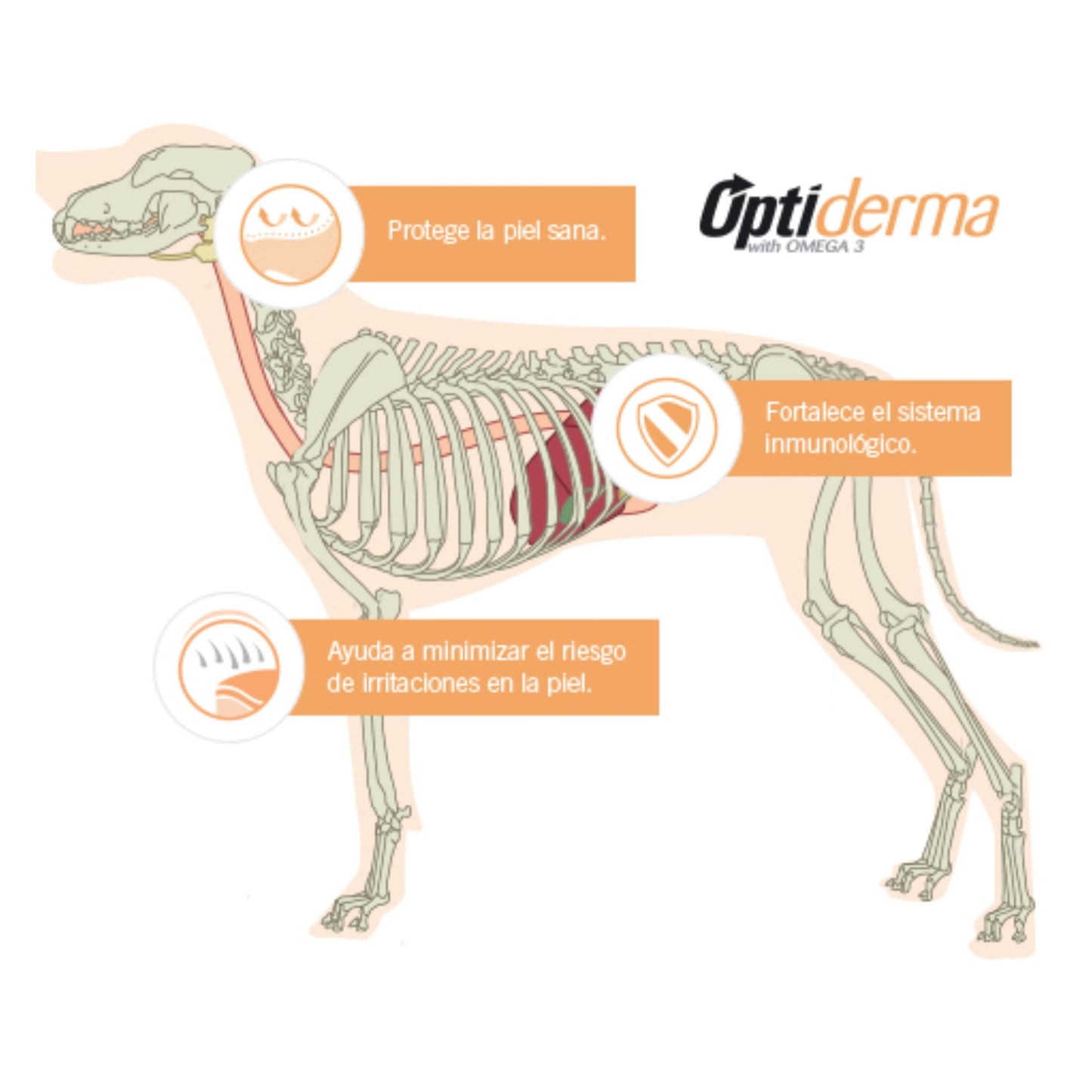 Purina PRO PLAN Adulto Raza Mediana y Grande Sensitive Skin Salmón 15 kg
