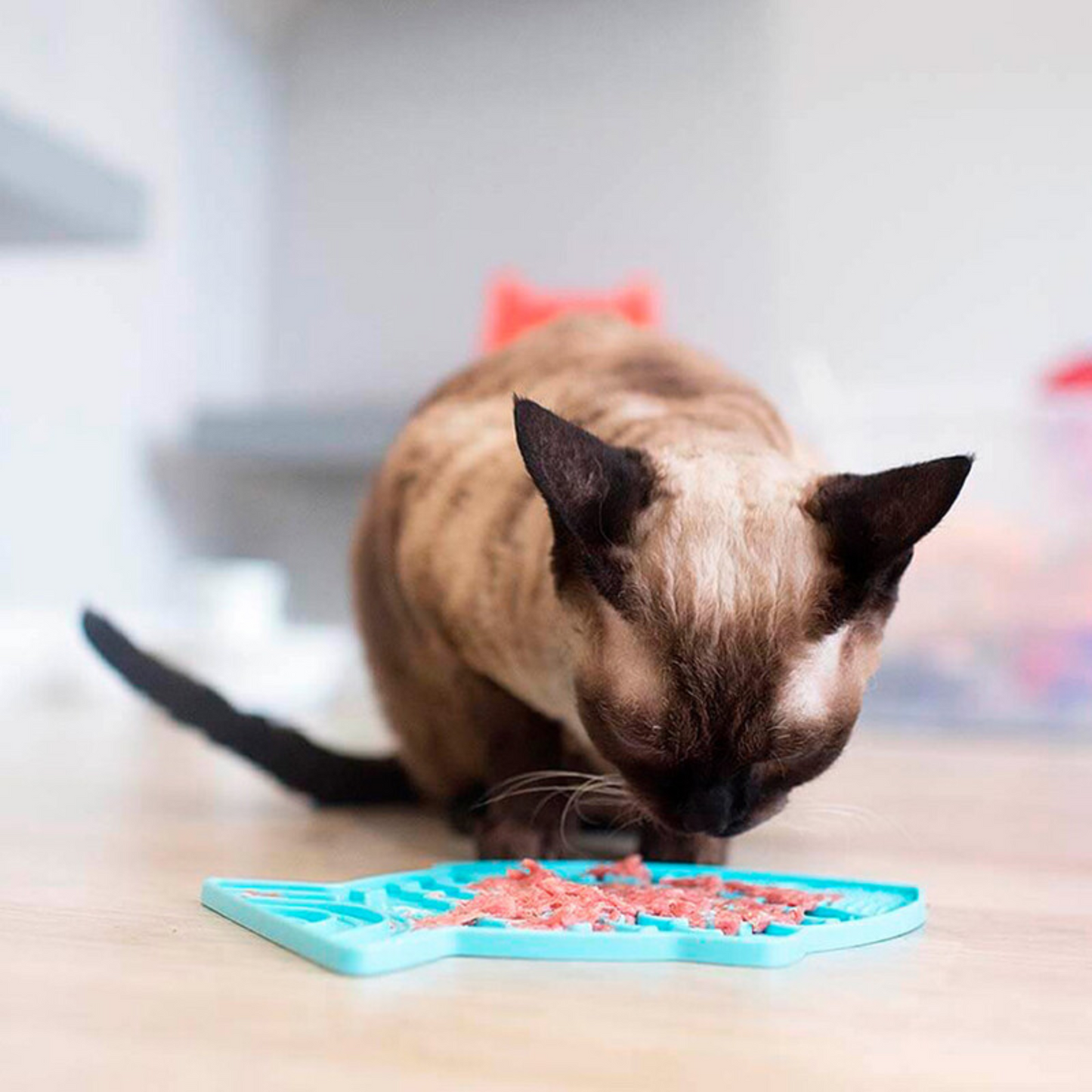 Lickimat Felix Turquesa Para Gatos