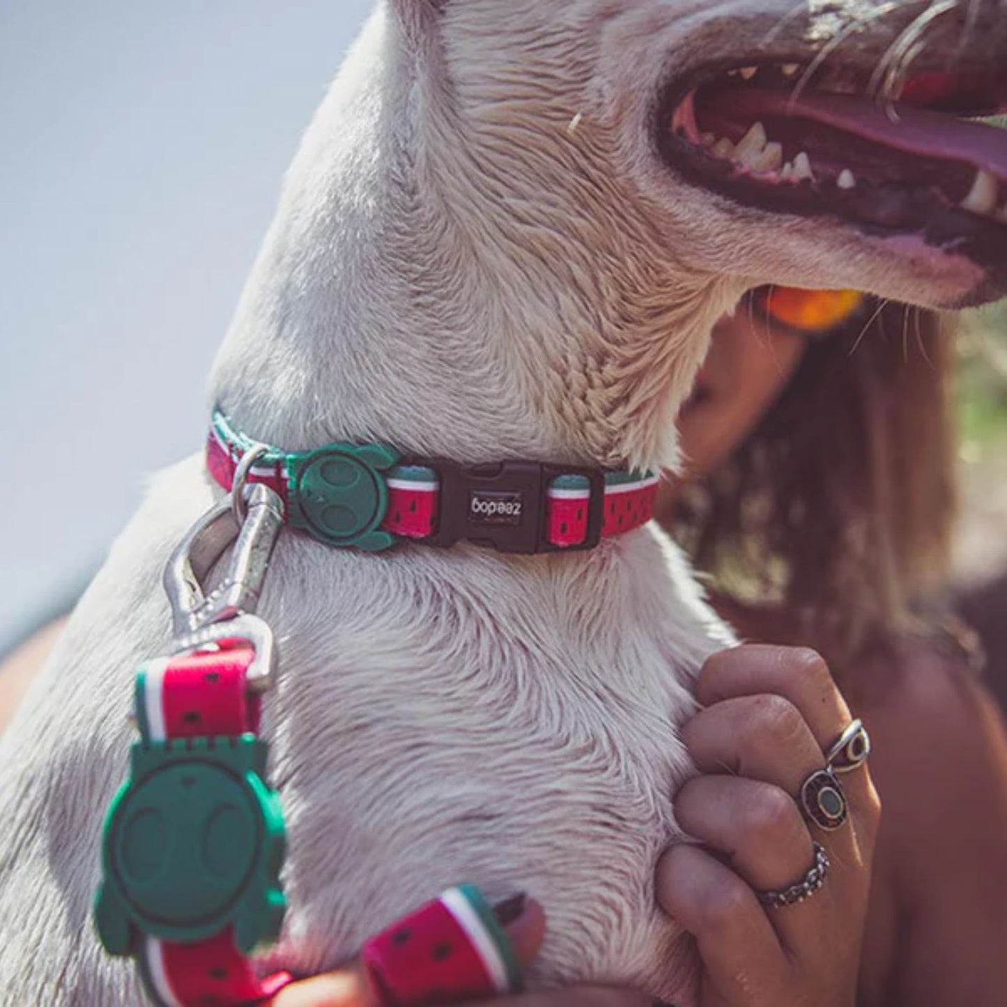 ZeeDog Lola Collar Medium