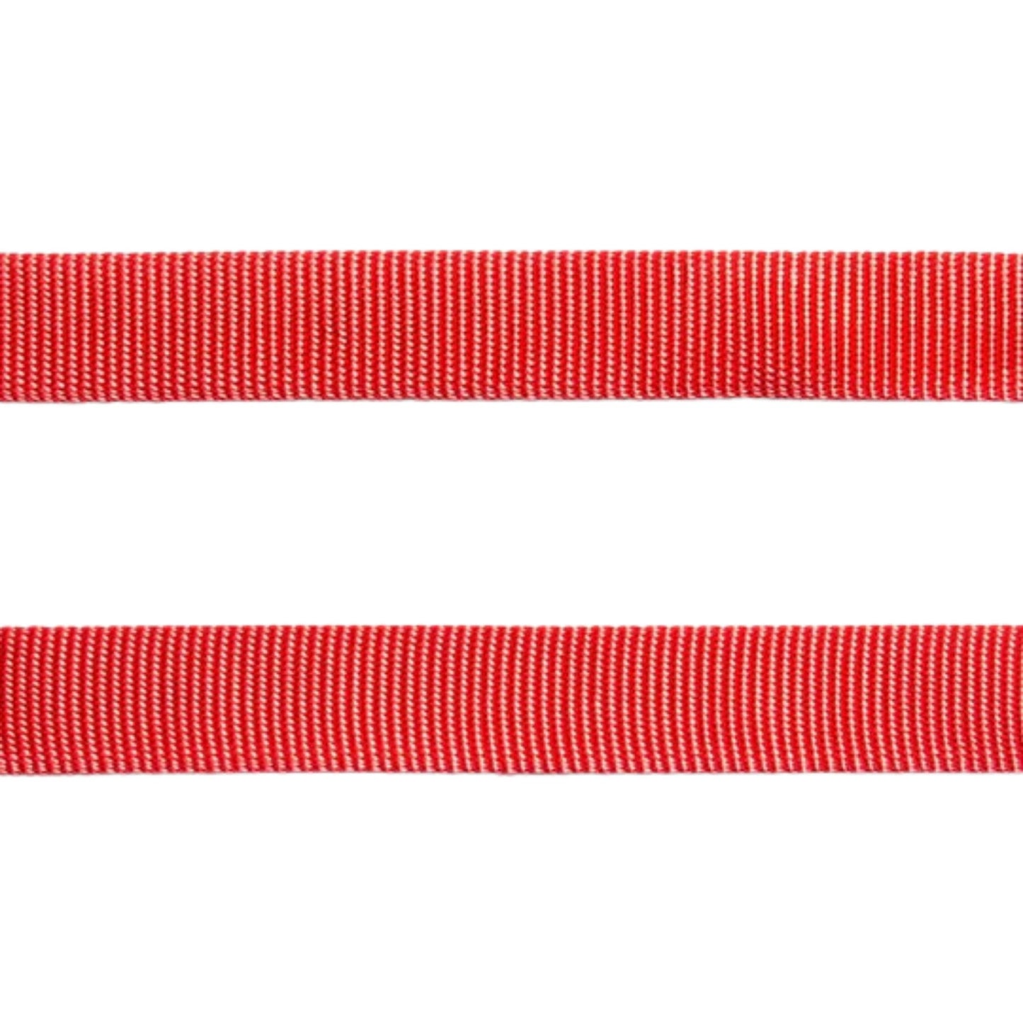 ZEEDOG Neon Coral Collar