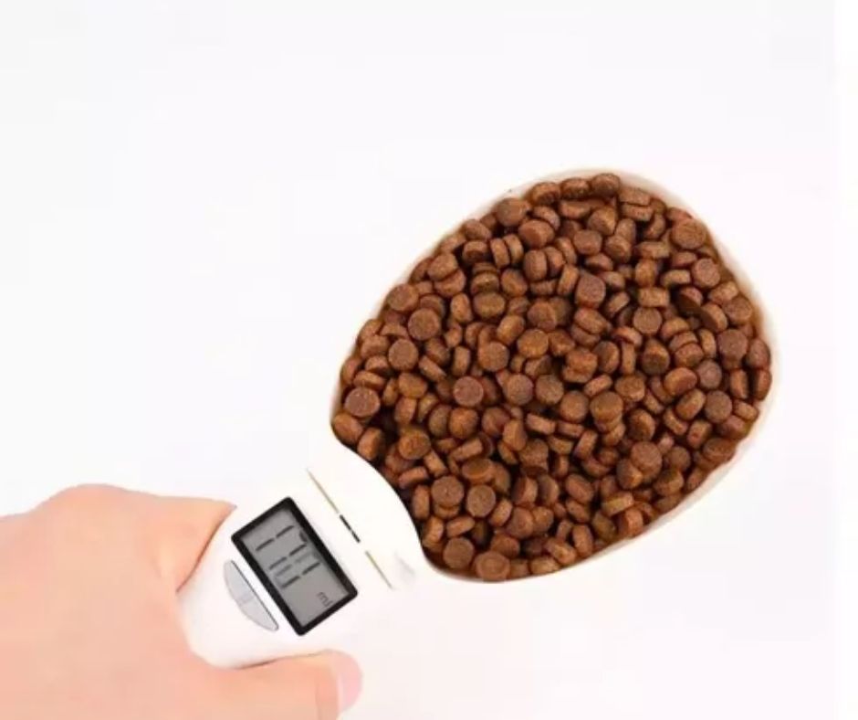 Báscula Electrónica 250 ml