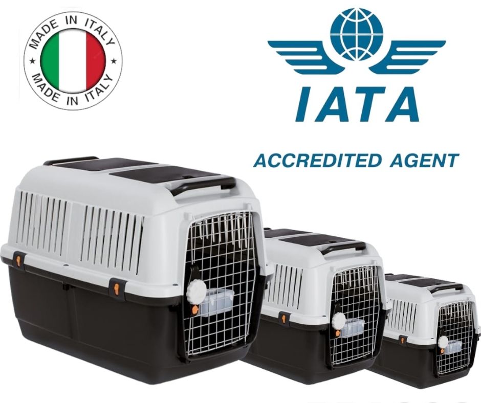 Transportadora Bracco Travel 1