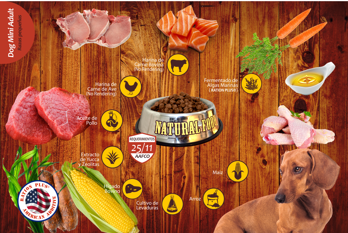 Natural Food Adulto Raza Pequeña 10 kg