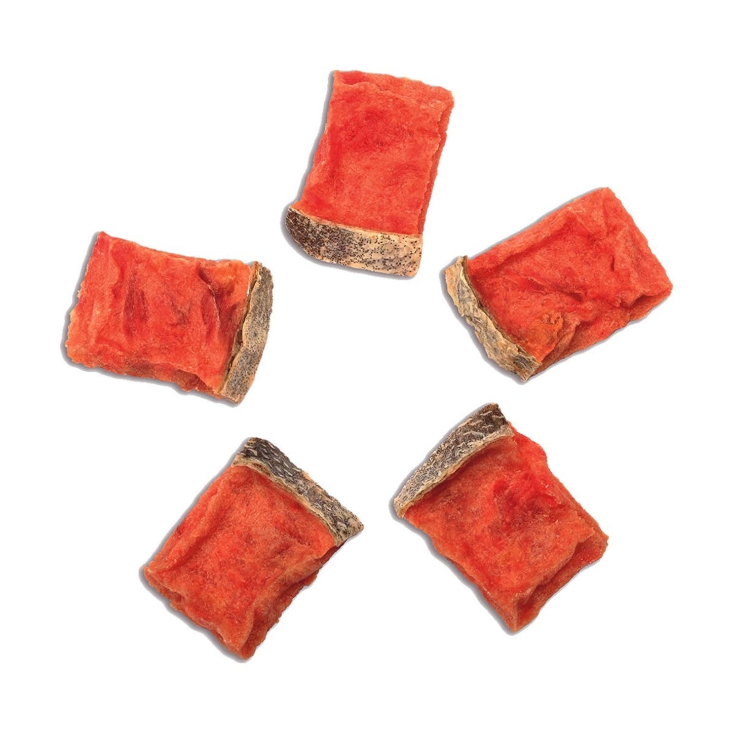 Wanpy Salmon & Fish Skin 100 Grs