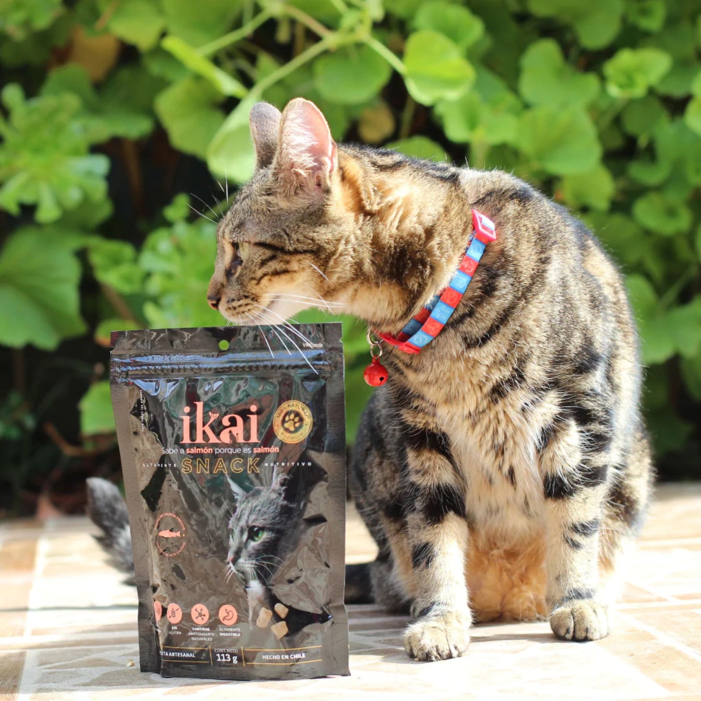 IKAI Gatos Salmón 113 Grs