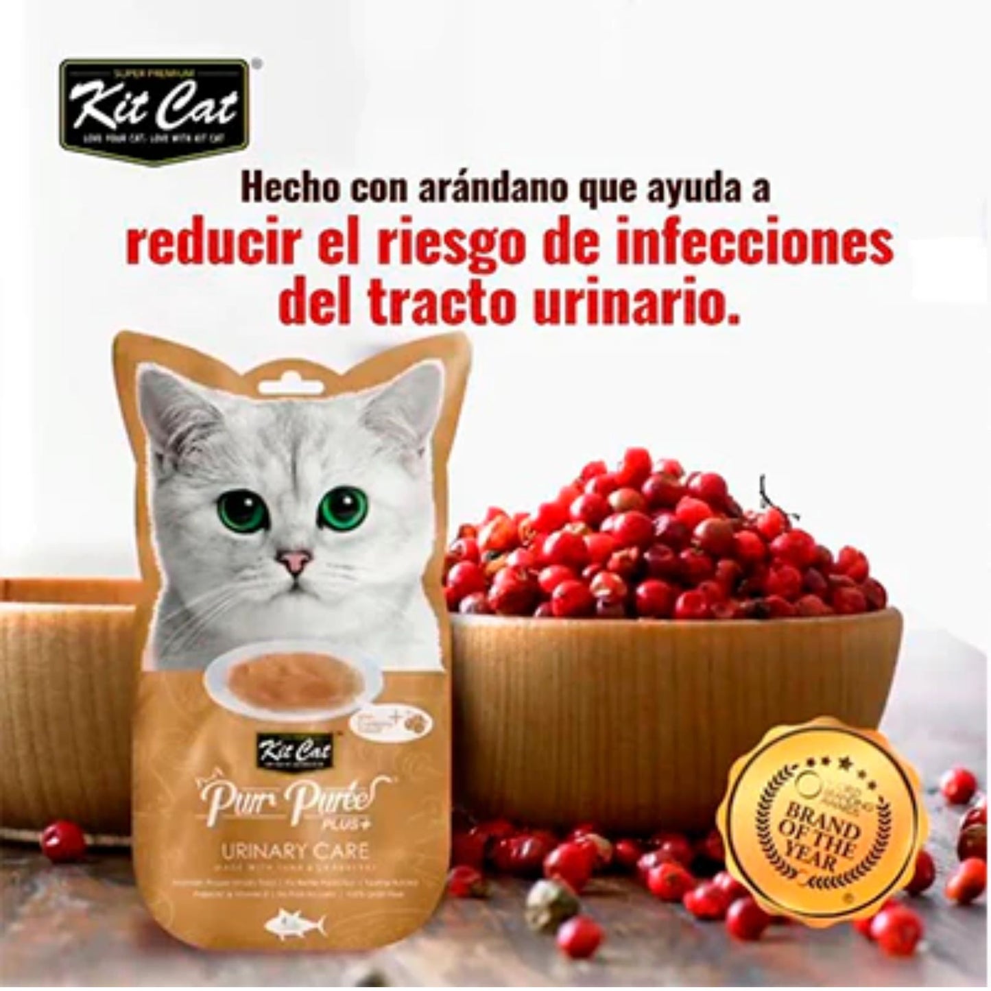 Kit Cat Purr Puree Plus Cuidado Urinario Atún