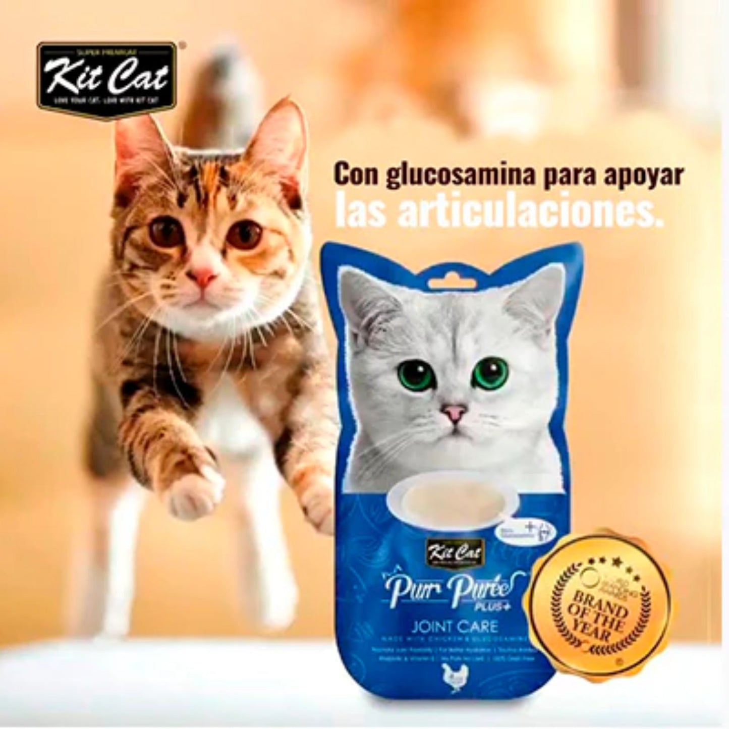 Kit Cat Purr Purée sabor pollo - Cuidado Articular 60gr