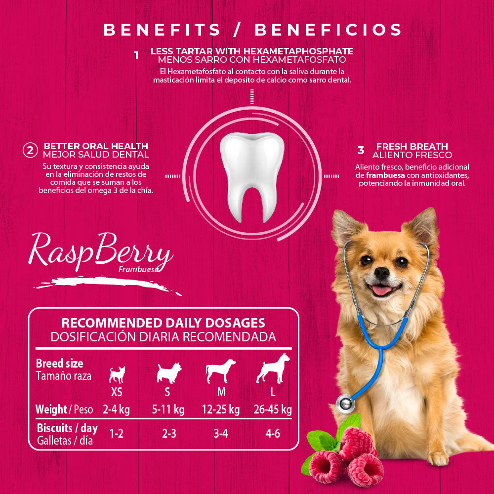 Dental Plus Berries Frambuesa 180 Gr