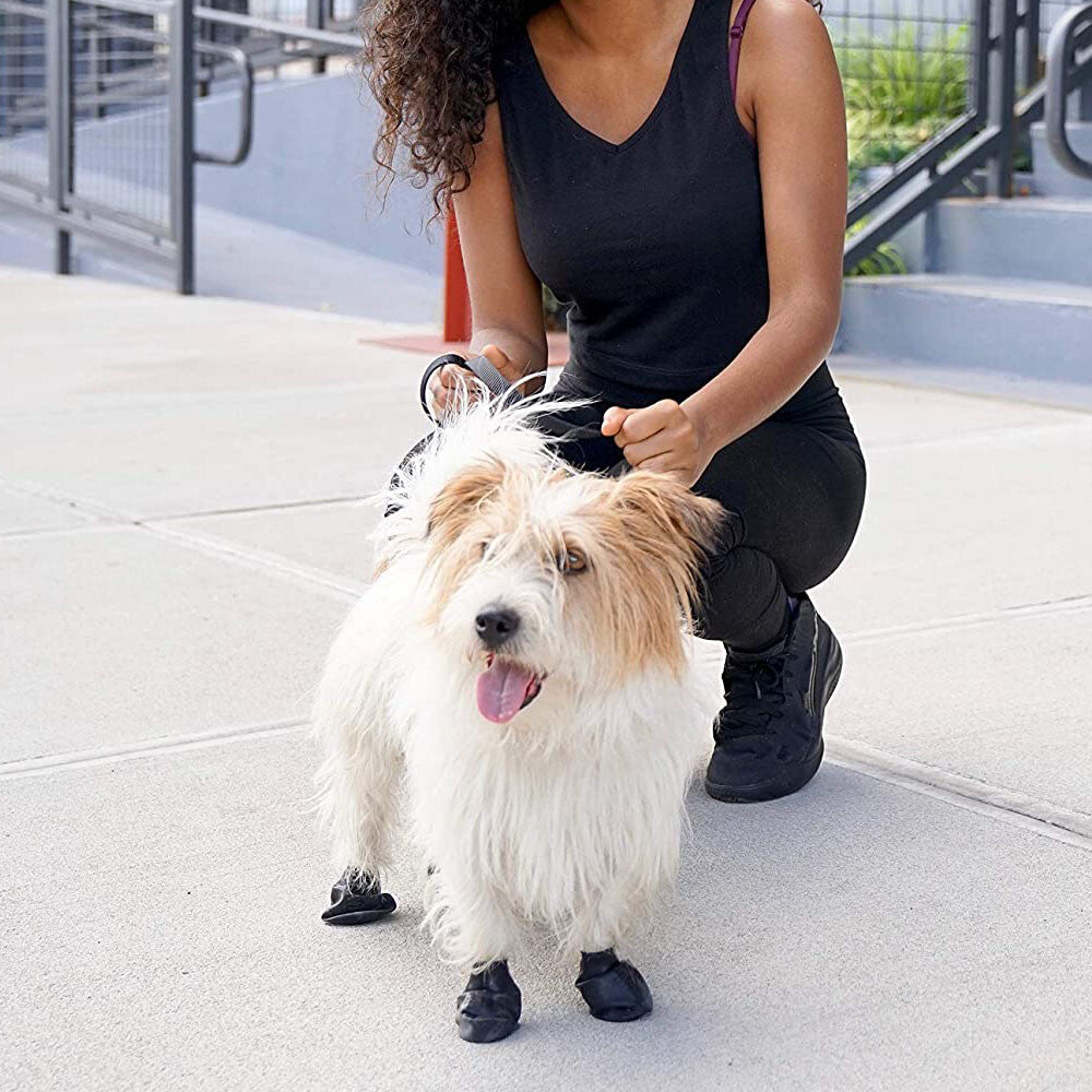 Pawz Botitas Negras Para Perro Talla S