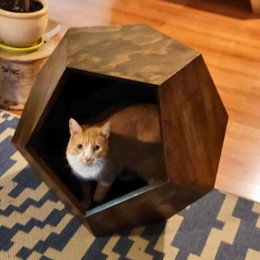 casa cueva gato