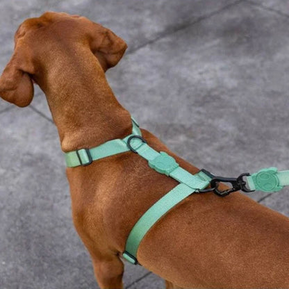 ZEEDOG Army Green H-Harness