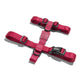 ZEEDOG Bordeau H-Harness Medium