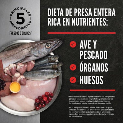 Alimento para Gatos Kitten Orijen 1,8 kg