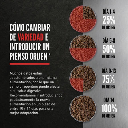 Alimento para Gatos Kitten Orijen 1,8 kg