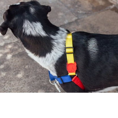 ZEEDOG Puzzle Soft-Walk Harness