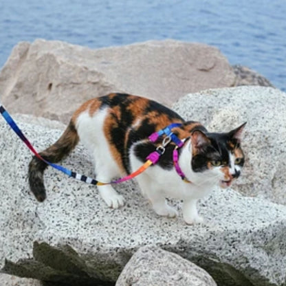 Zee.Cat Prisma Harness Leash Set