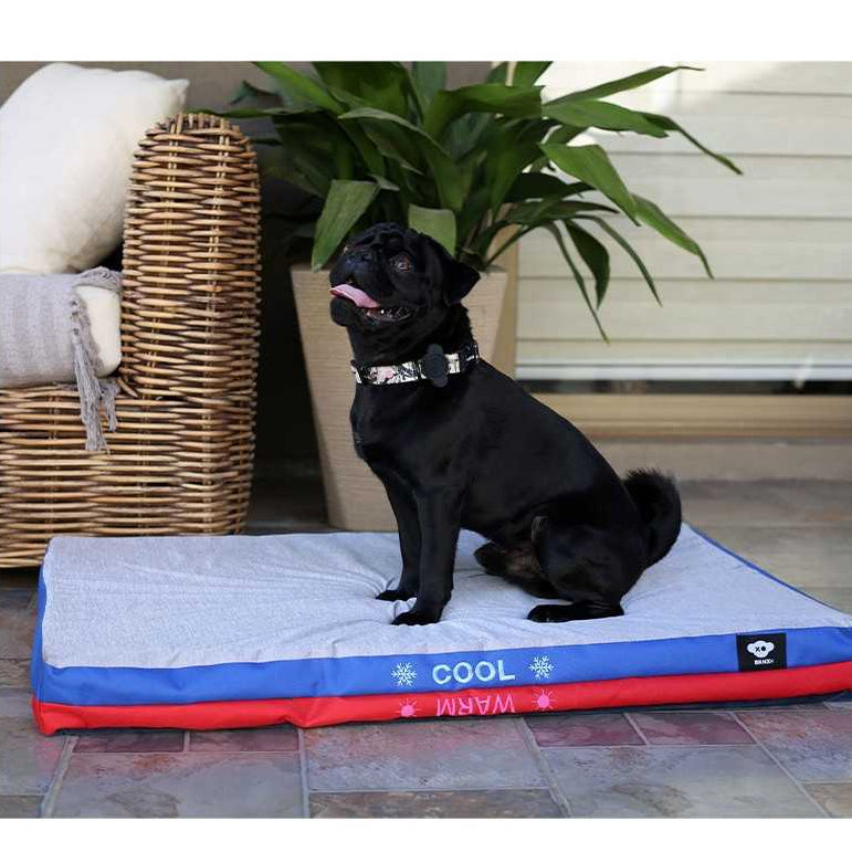 Cama para Perros y Gatos Frío/Calor Lavable  89 x 58 x 8 cm - BRNX