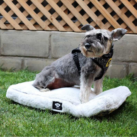 Cama para perros y gatos ansiosos - anti-estrés lavable