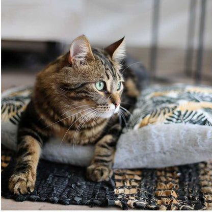 Cama para perros y gatos ansiosos - anti-estrés lavable