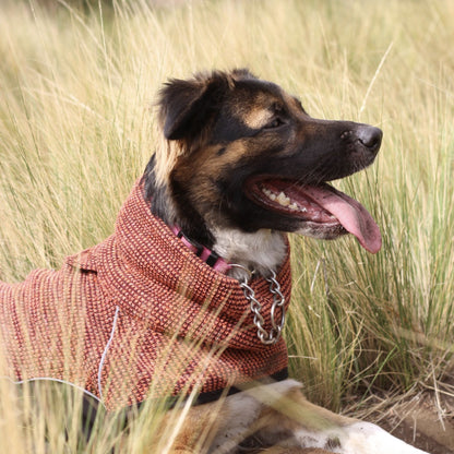 Chaqueta Cobre Amancay