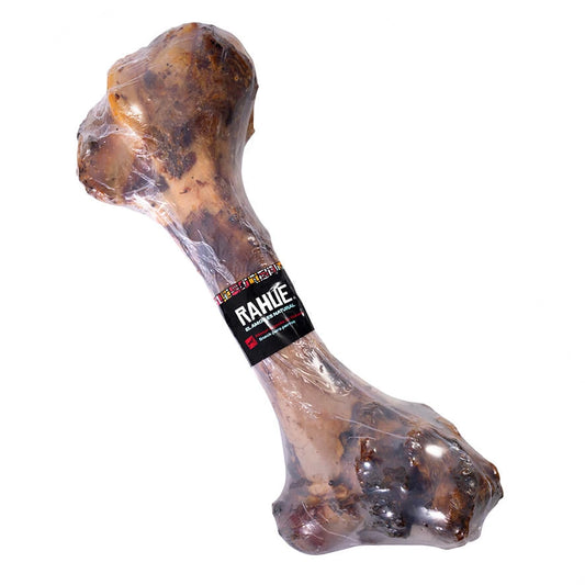 Fémur de Vacuno Gigante – Rahue