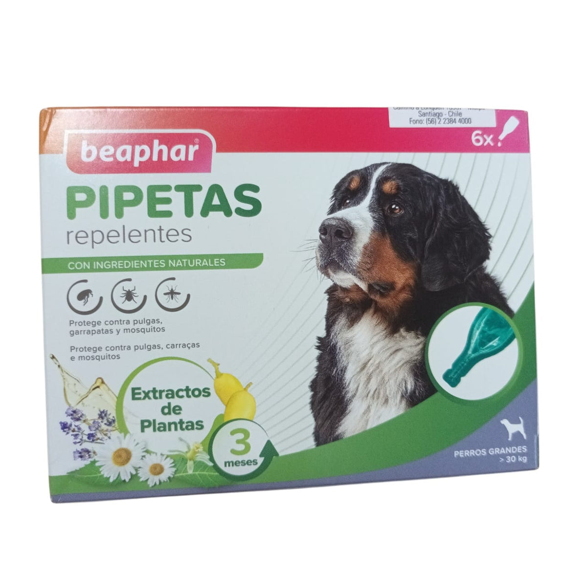 🐶 Pipetas Repelentes Beaphar para Perros Grandes (más de 30 kg) – 6 unidades