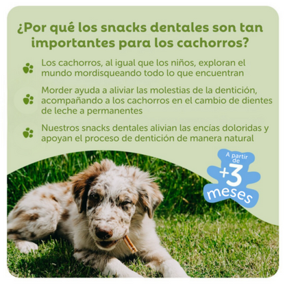 Snack Dental Natural de Uso Diario para Perros Whimzees Puppy S - 28 unidades