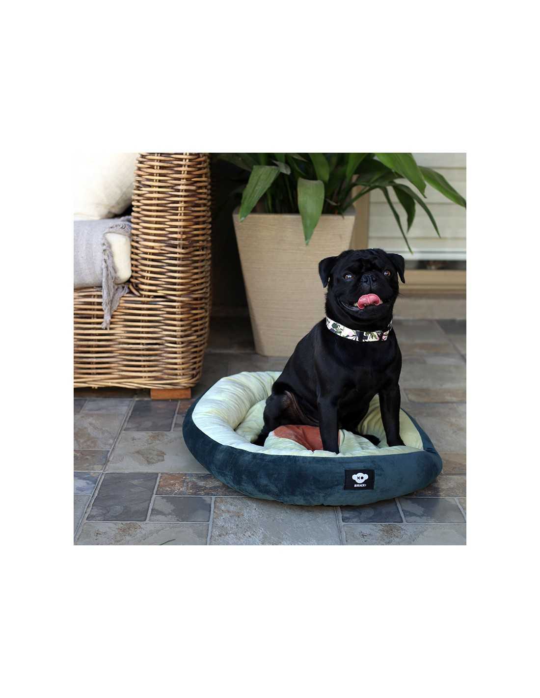 Cama para gatos y perros con forma de palta 64,5X48 cm