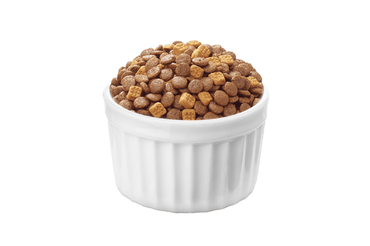 Alimento para Perros Cachorro Wanpy  Puppy Dog Chicken 1,5 kg