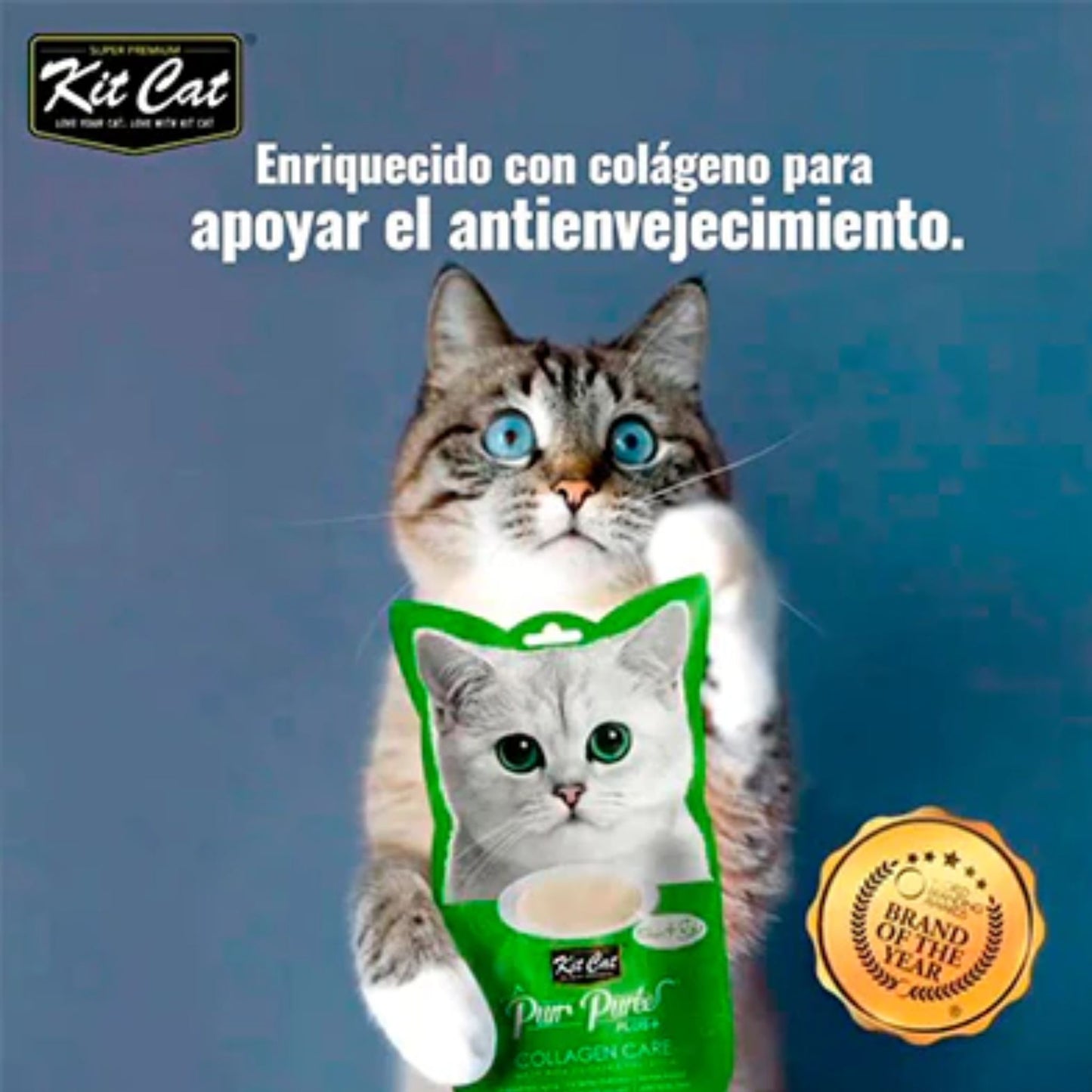 Kit Cat Purr Puree Plus Colageno Pollo 60 g