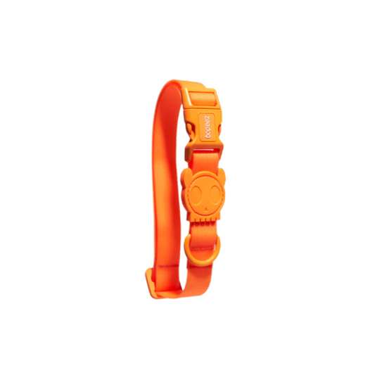 ZEEDOG Neopro Tangerine Collar Small